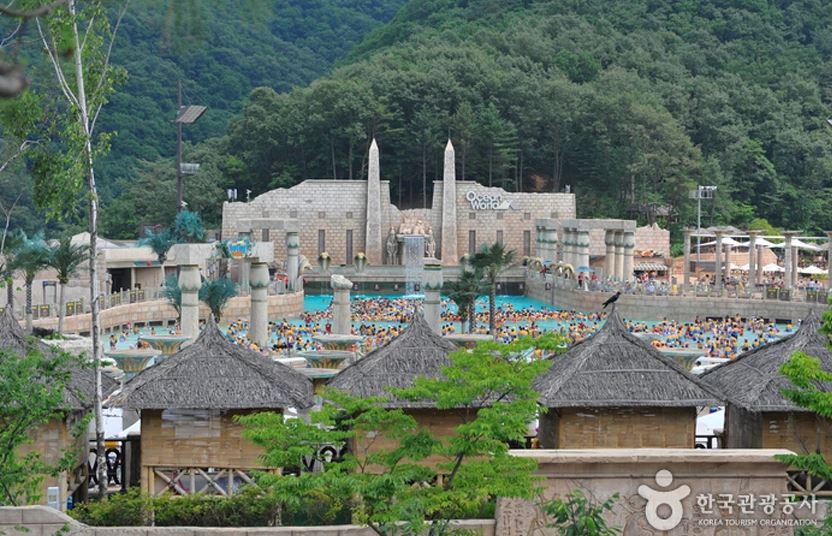 대명 비발디파크